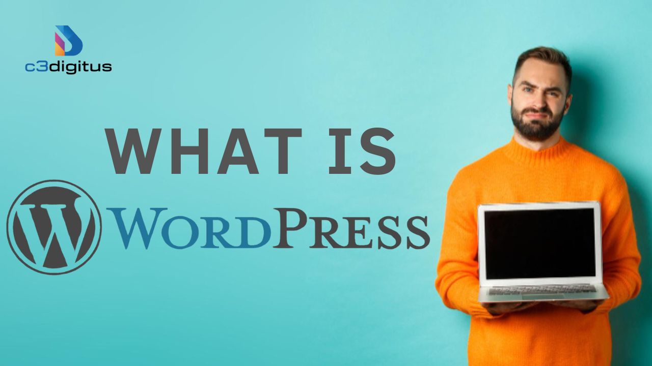 What is WordPress