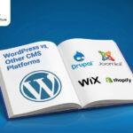 A graphic stating WordPress vs Other CMS Platforms for B2B Businesses