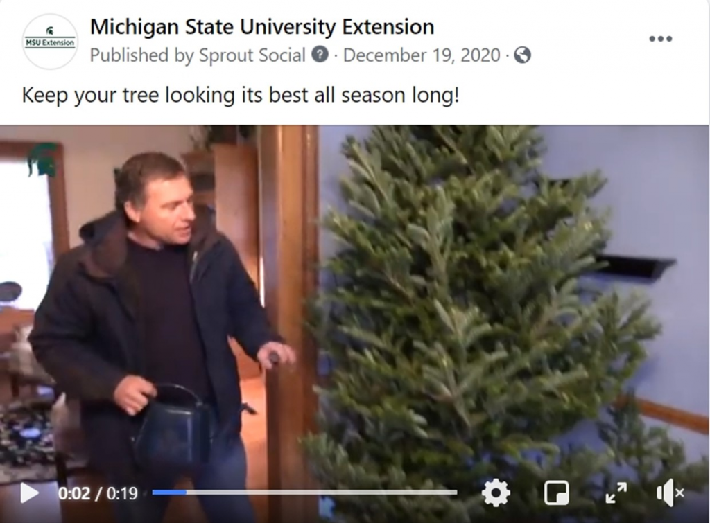 What is Facebook Marketing? A Complete Guide - Part 1 12 Example of seasonal posting facebook business page